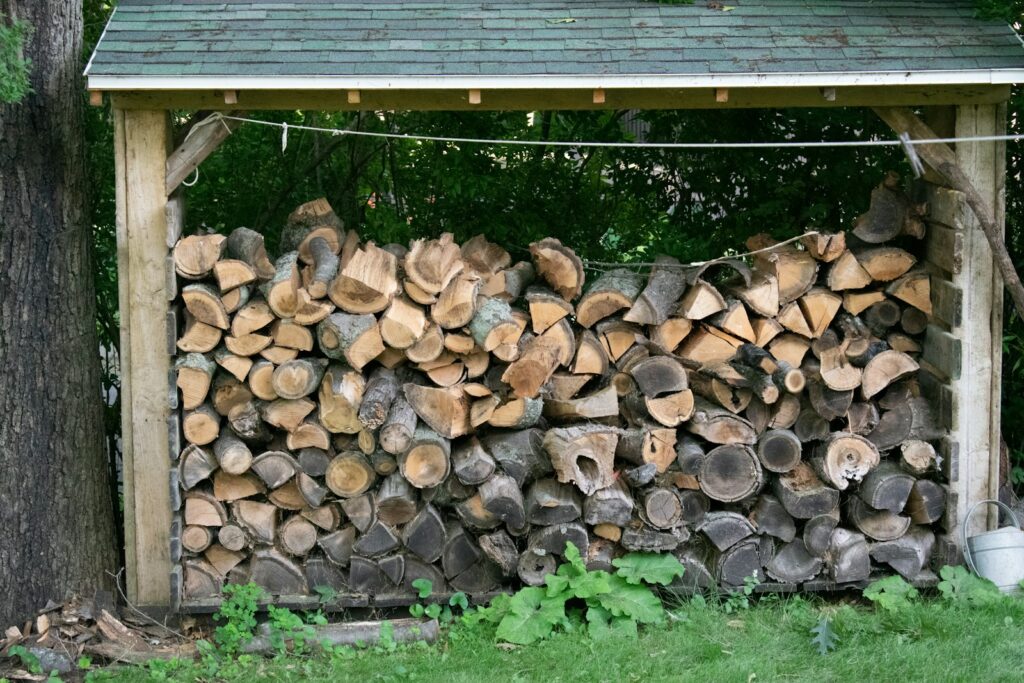 eviter nuisible bois de chauffage