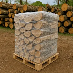 bois de chauffage bordeaux sur palette